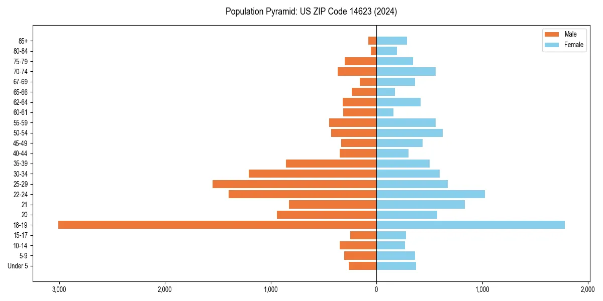 Population pyramid for 