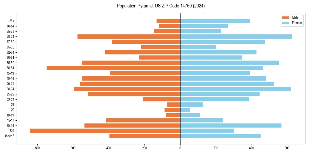 Population pyramid for 