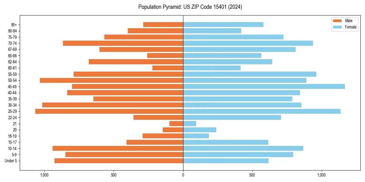 Population pyramid for 