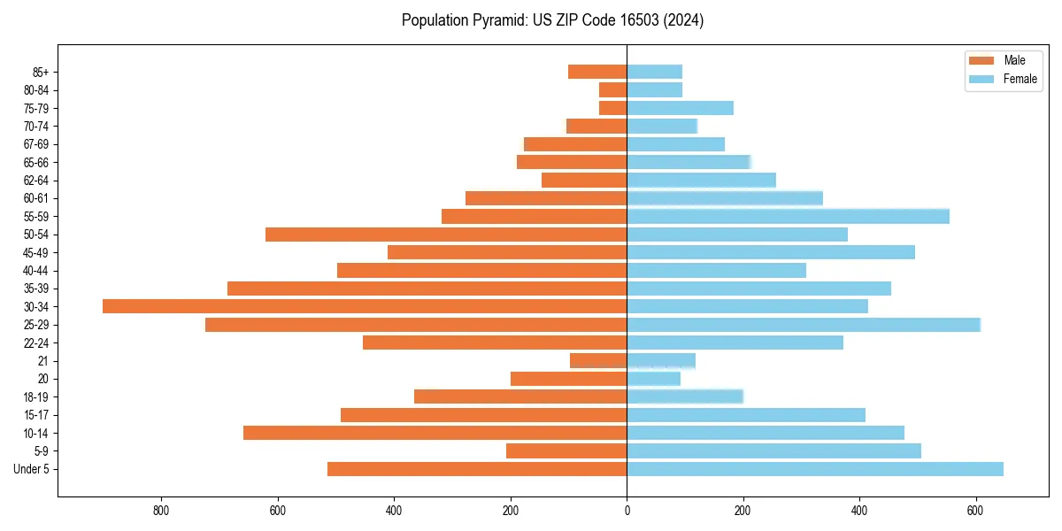 Population pyramid for 