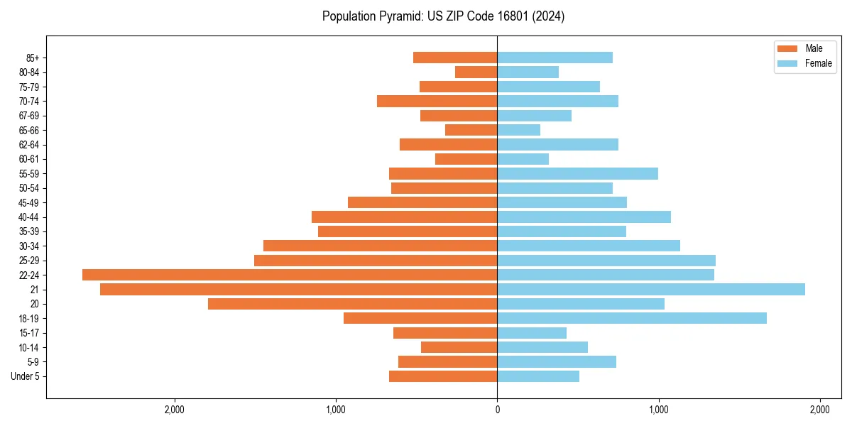Population pyramid for 