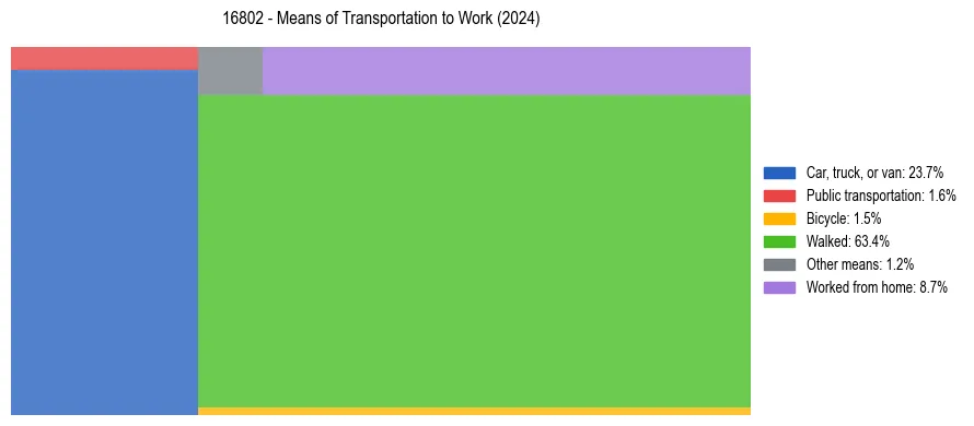 Commute modes in US ZIP Code 16802