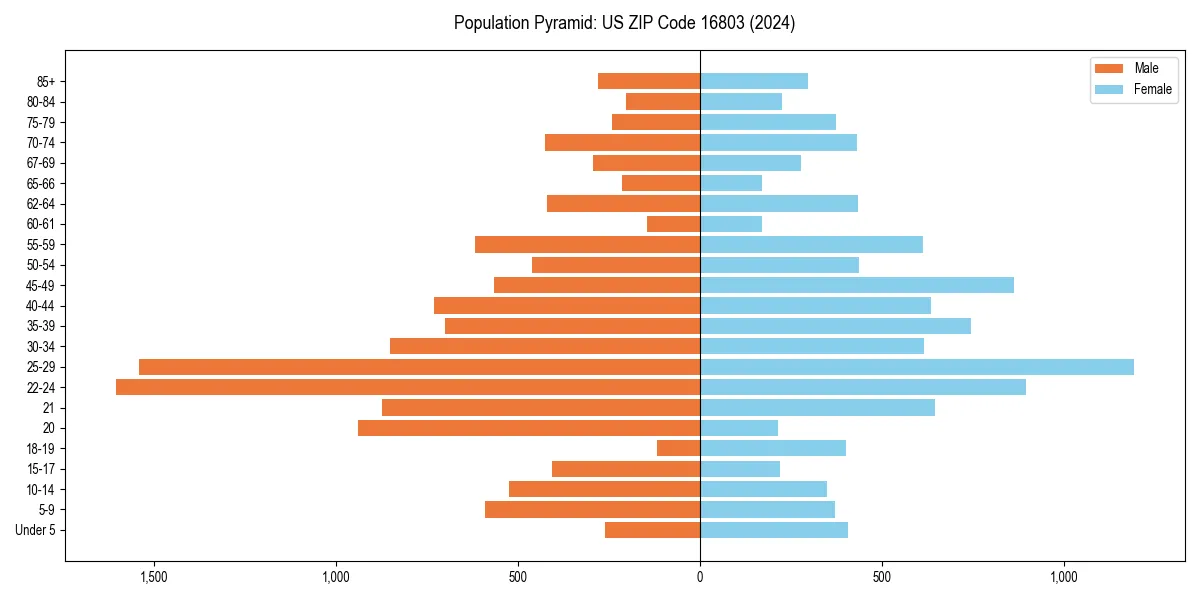 Population pyramid for 