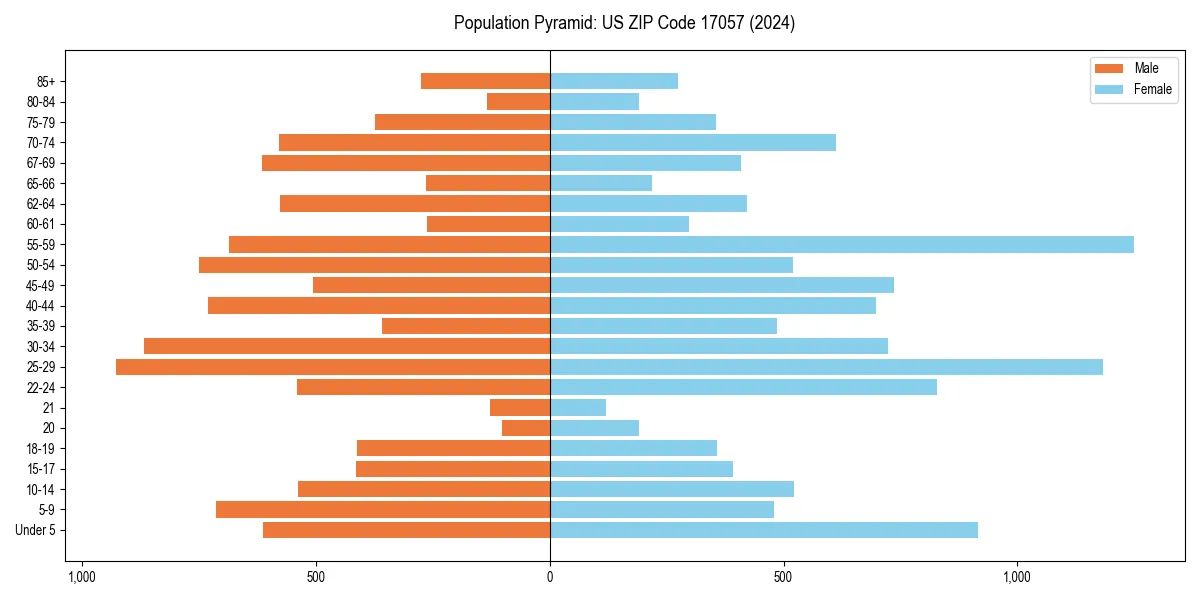 Population pyramid for 