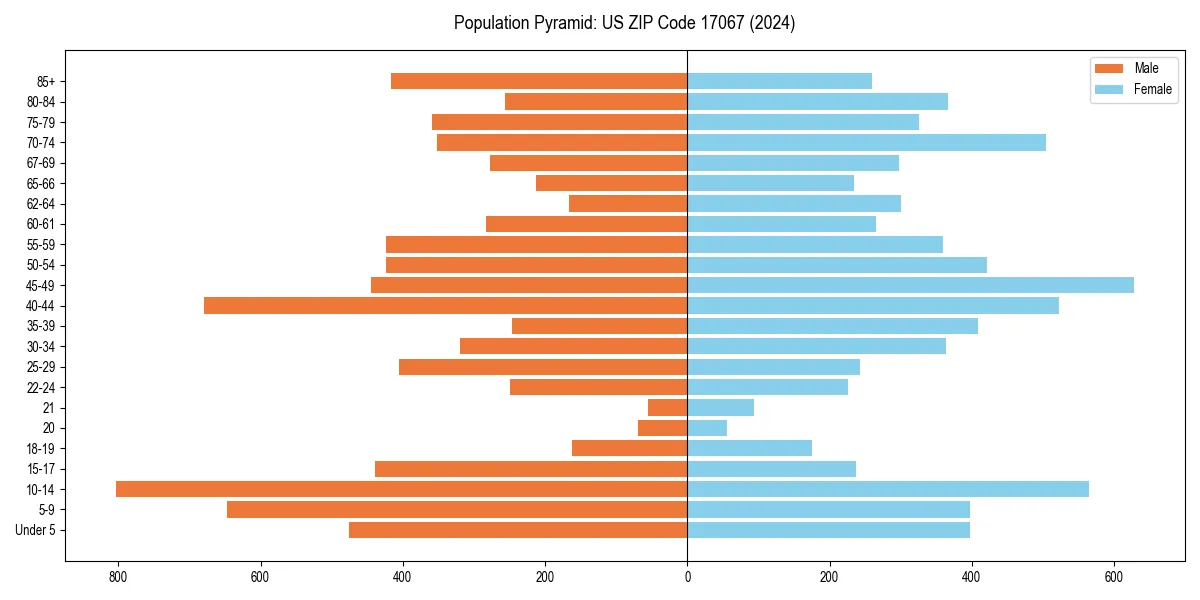Population pyramid for 