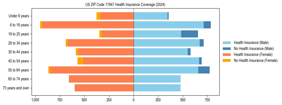Health insurance pyramid for US ZIP Code 17847