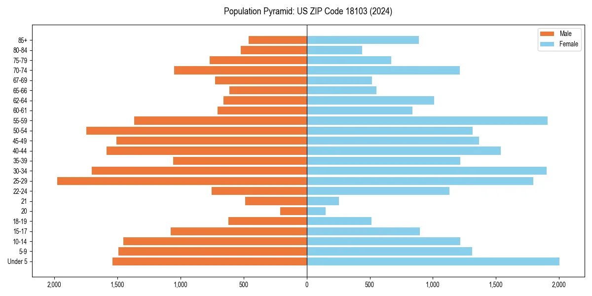 Population pyramid for 