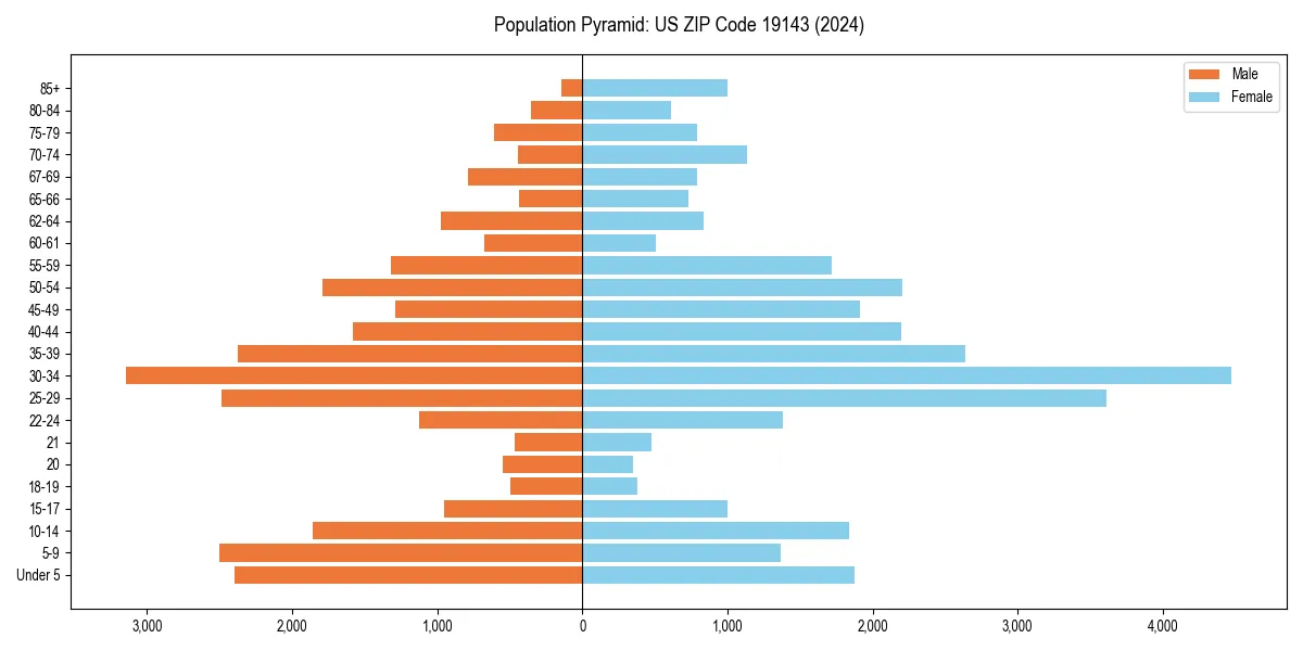 Population pyramid for 