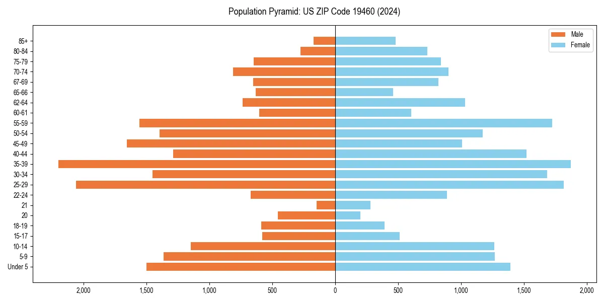 Population pyramid for 
