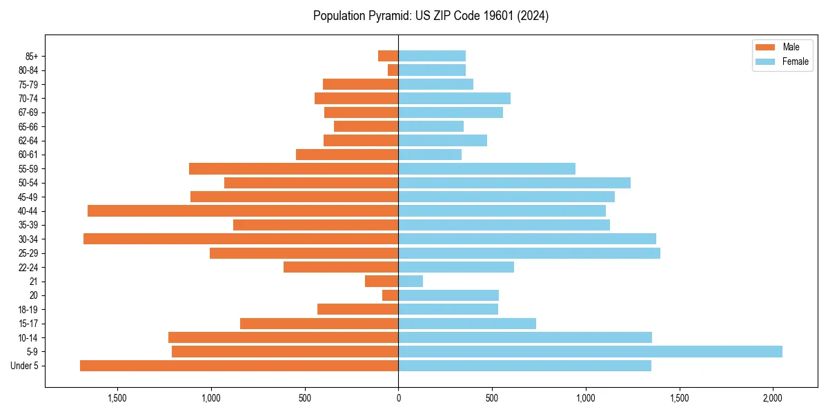 Population pyramid for 