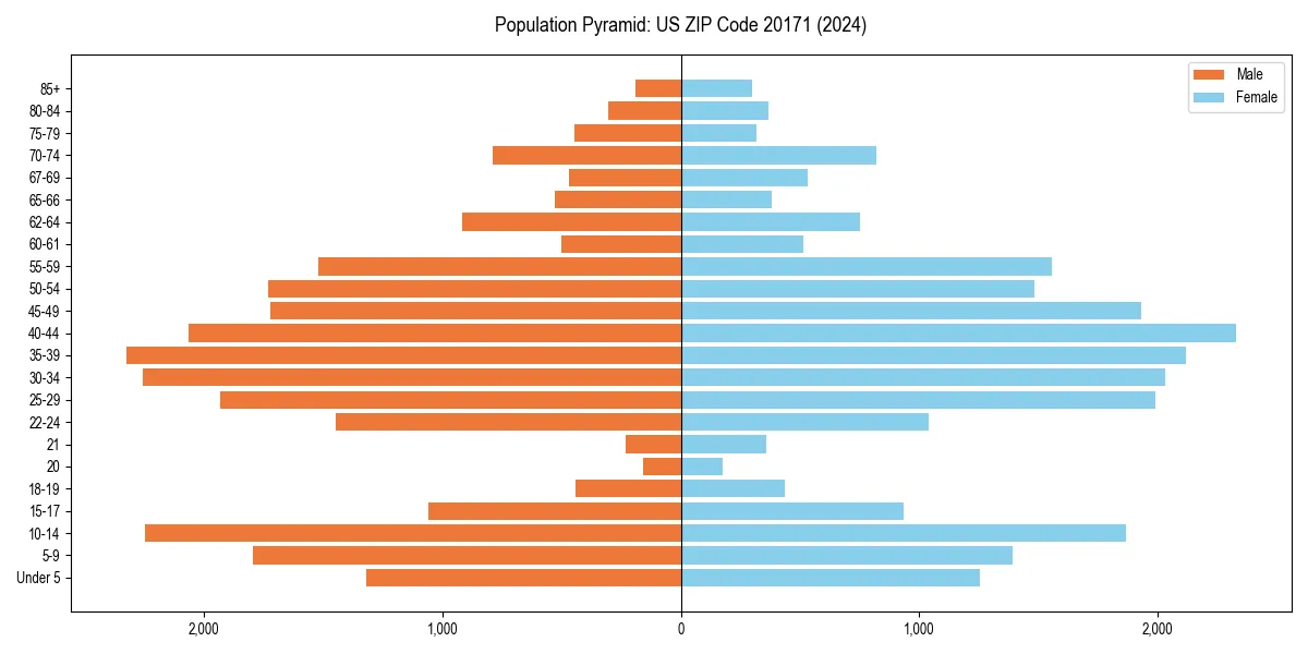 Population pyramid for 
