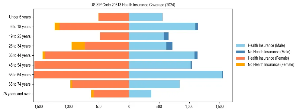 Health insurance pyramid for US ZIP Code 20613
