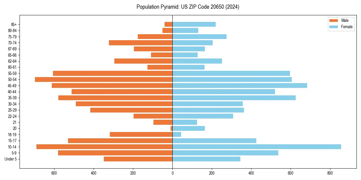 Population pyramid for 