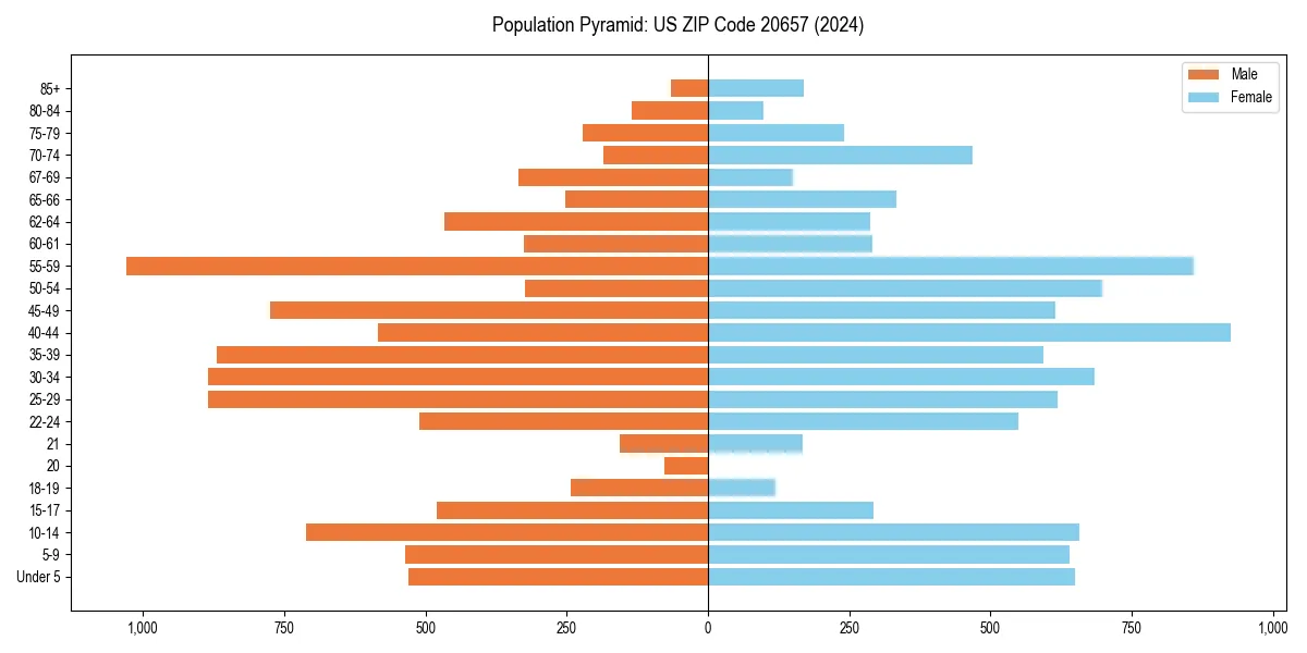 Population pyramid for 