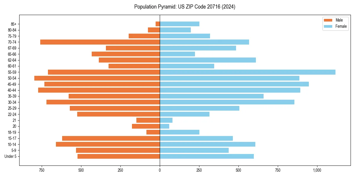 Population pyramid for 
