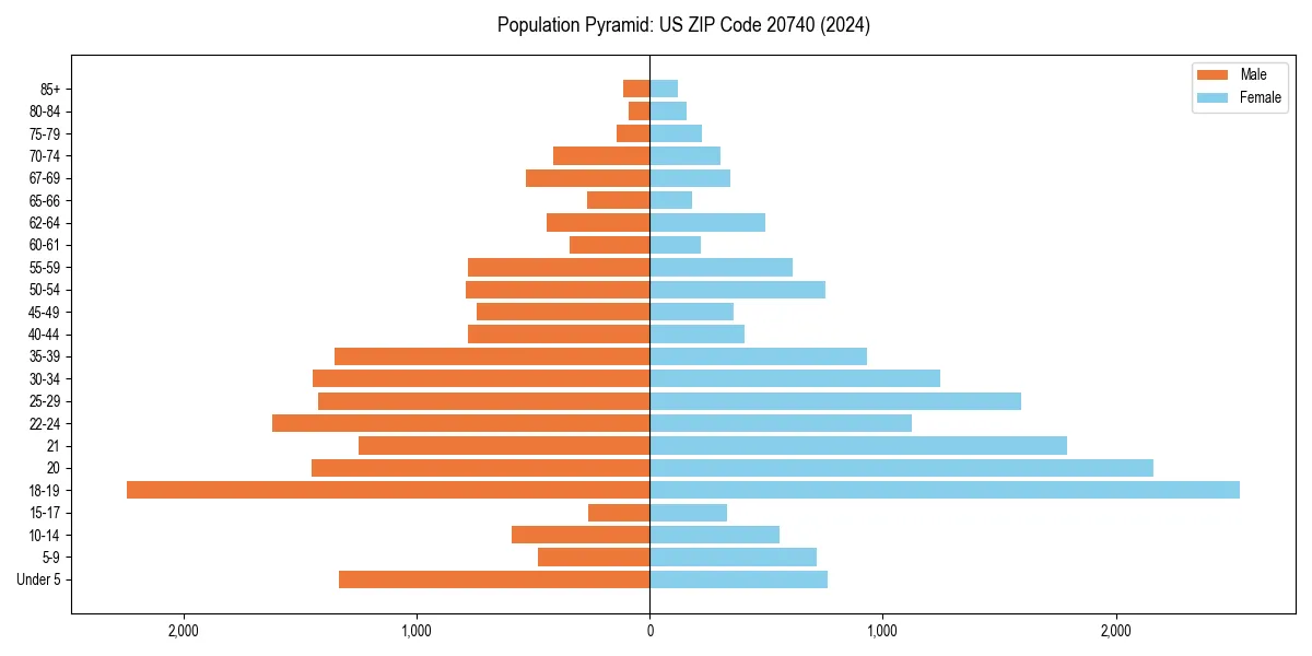 Population pyramid for 