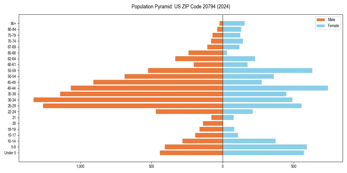 Population pyramid for 