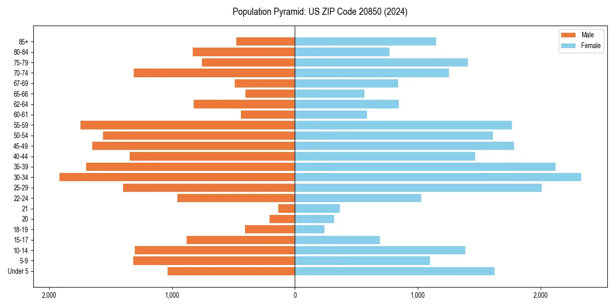 Population pyramid for 