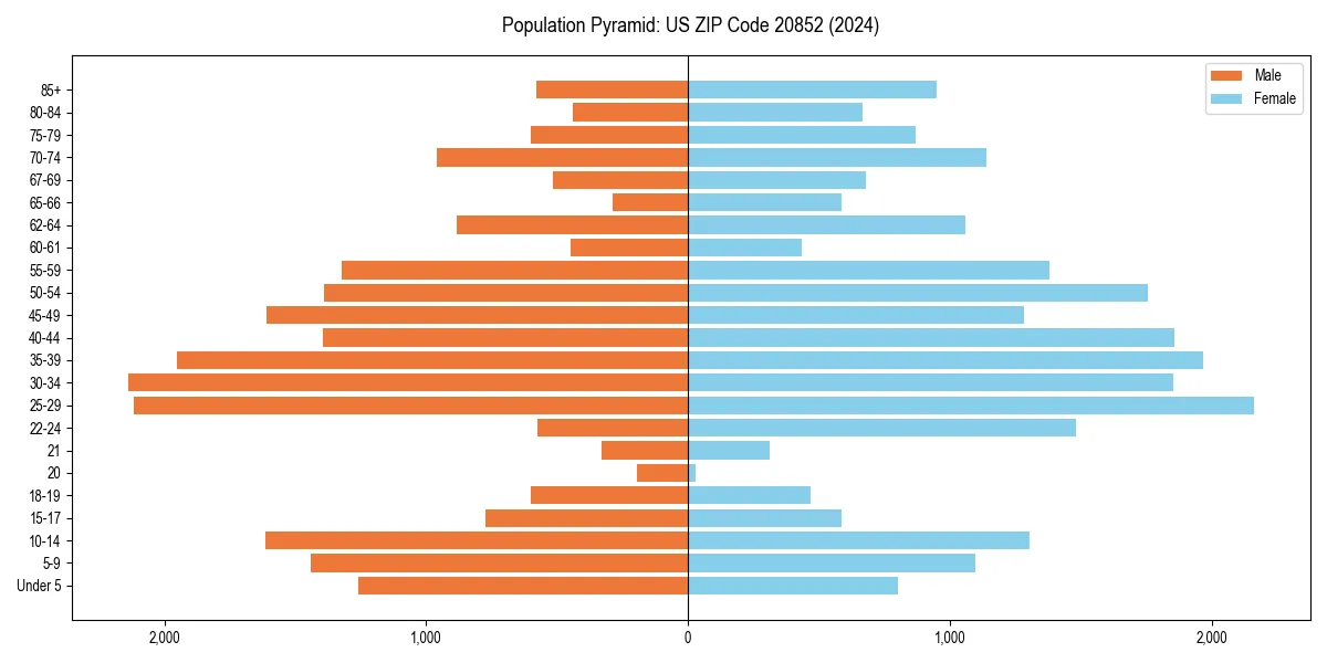Population pyramid for 