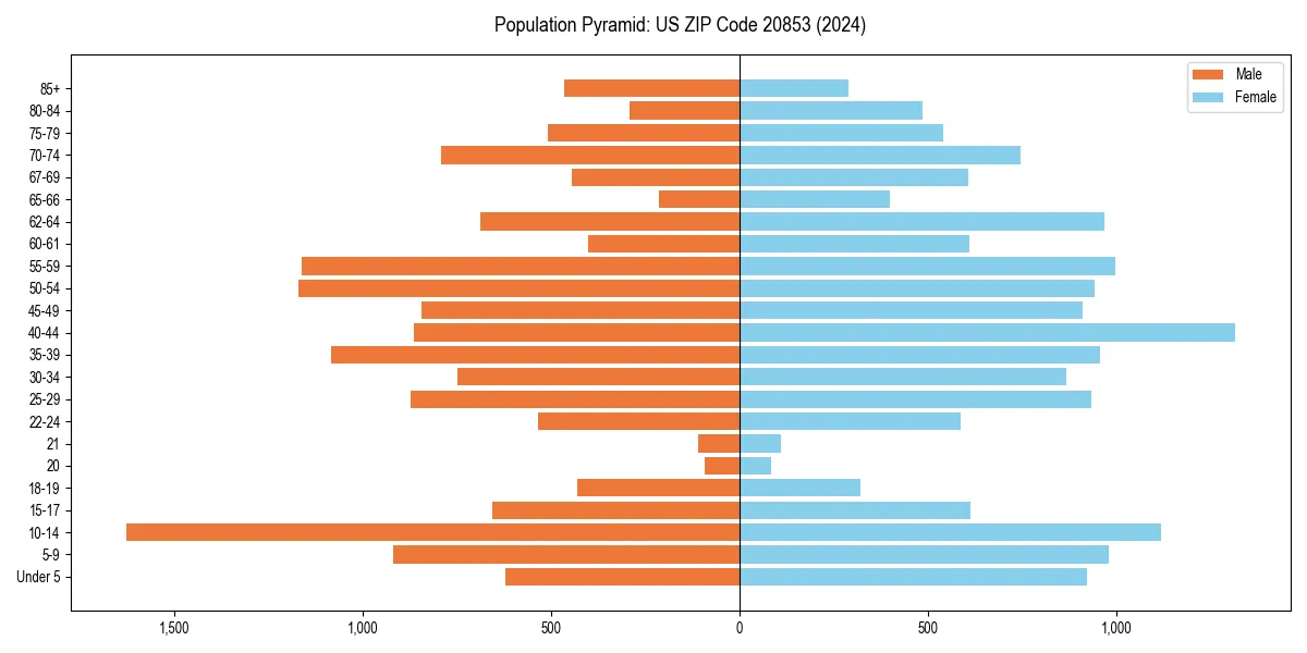 Population pyramid for 