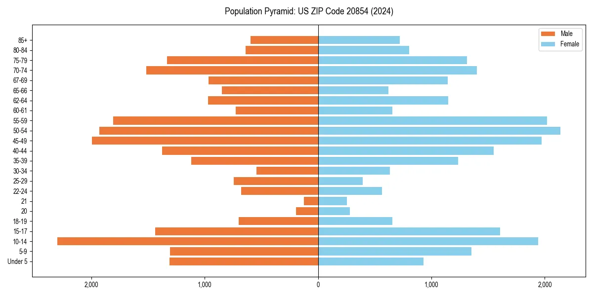Population pyramid for 
