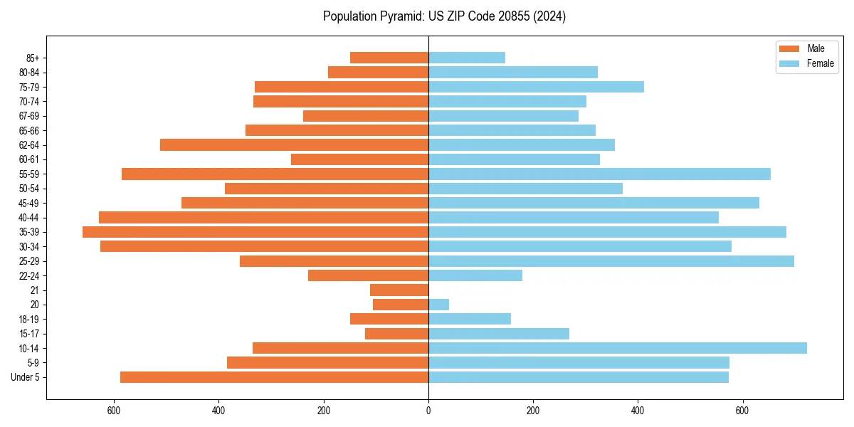 Population pyramid for 