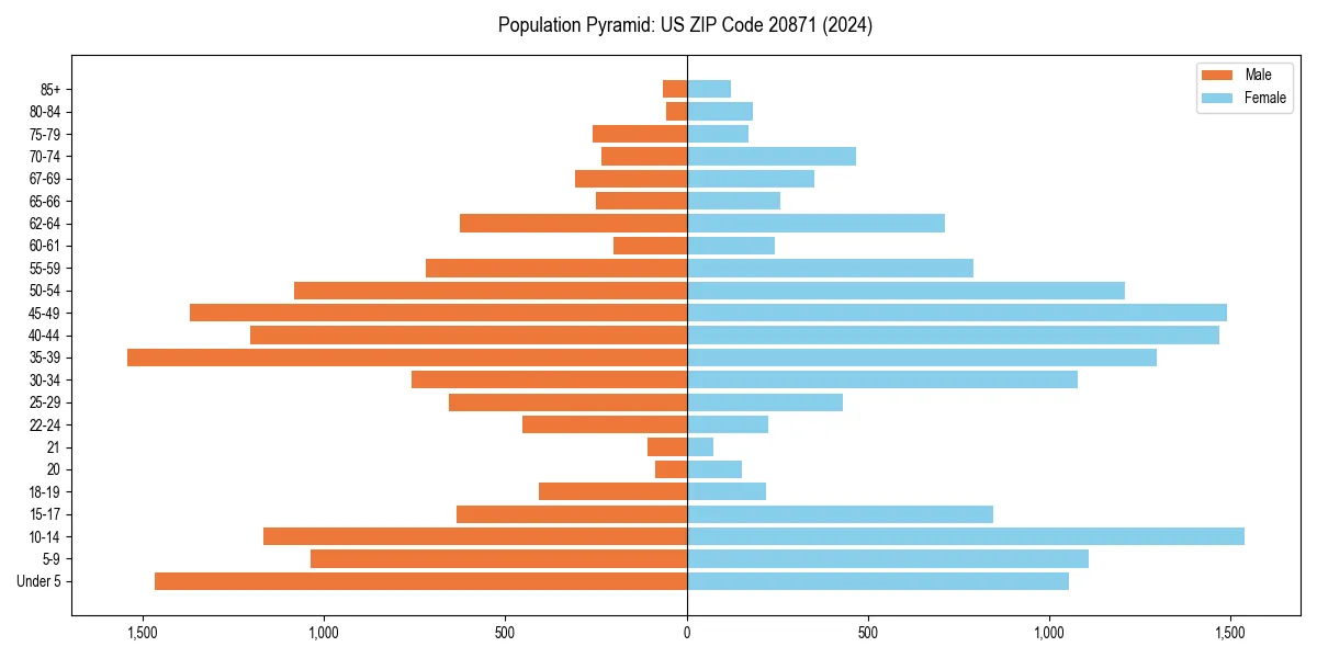 Population pyramid for 