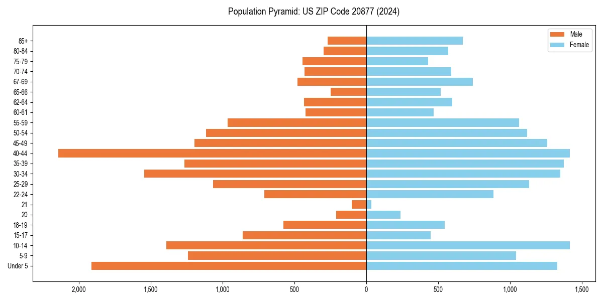 Population pyramid for 