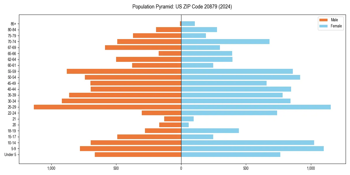 Population pyramid for 
