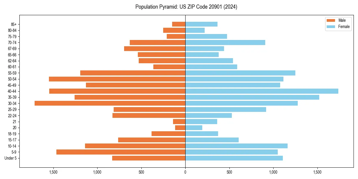 Population pyramid for 