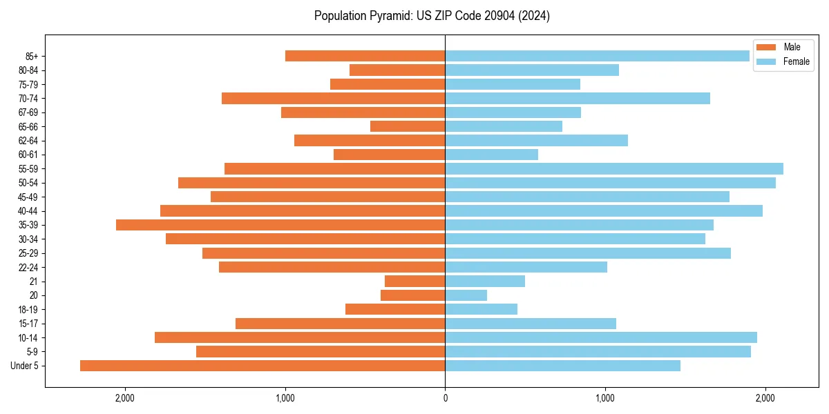 Population pyramid for 