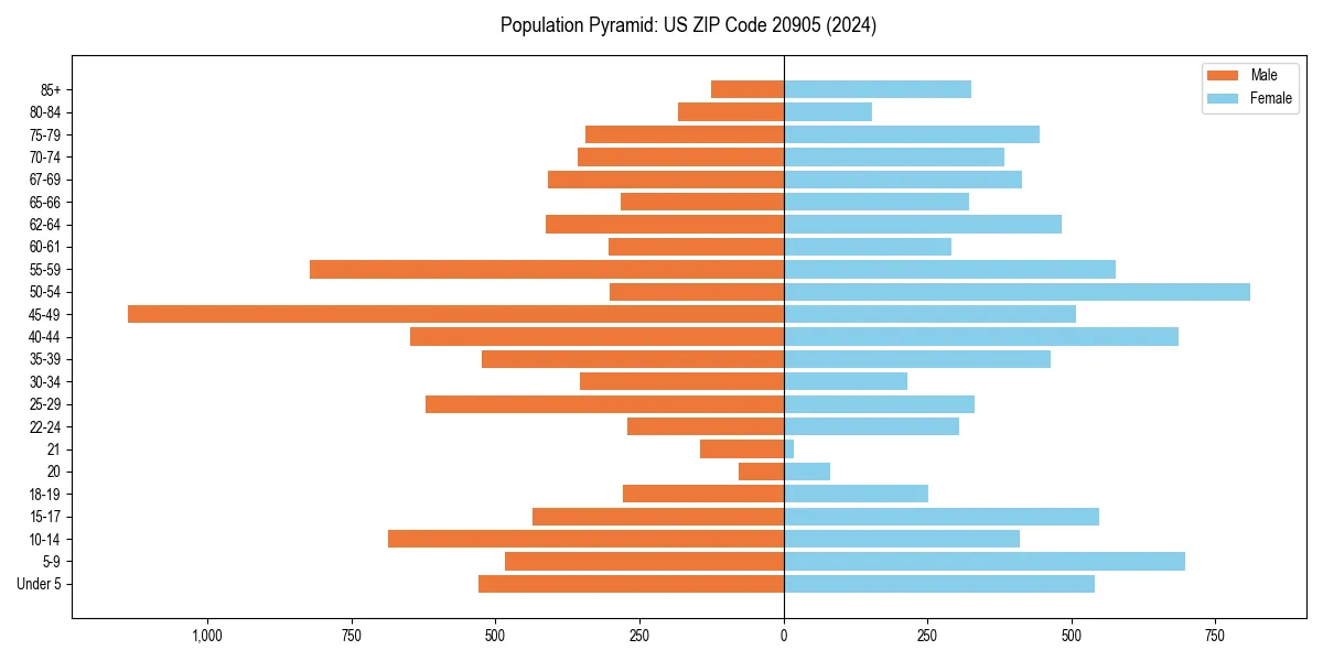 Population pyramid for 