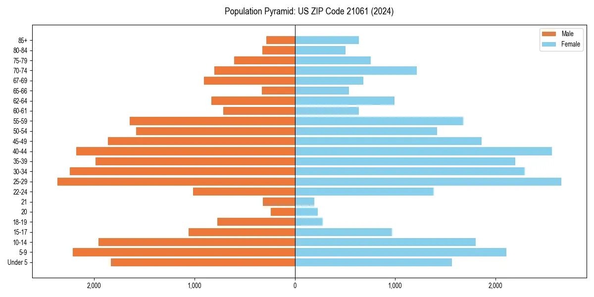 Population pyramid for 