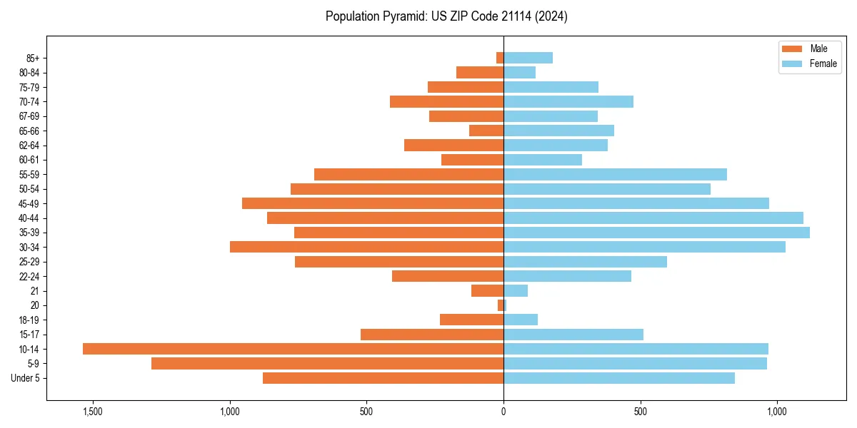 Population pyramid for 