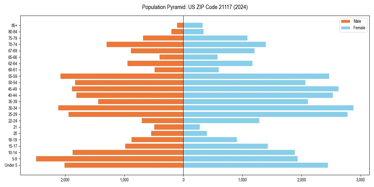 Population pyramid for 