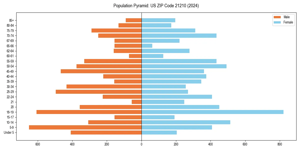 Population pyramid for 