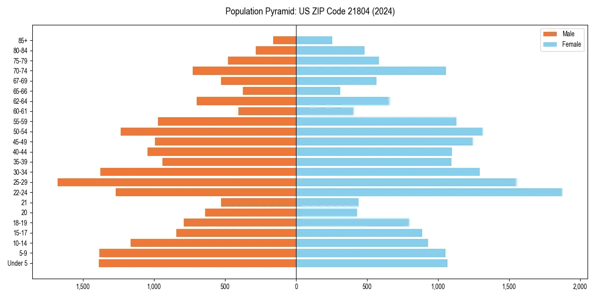 Population pyramid for 