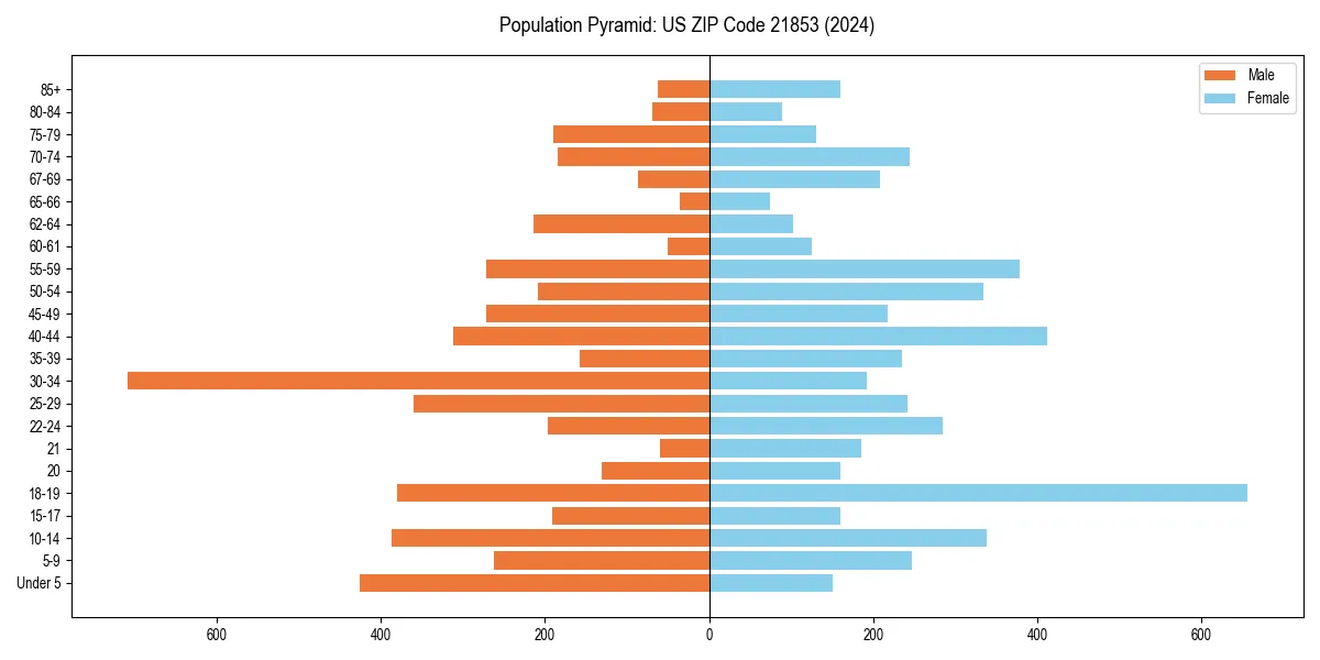 Population pyramid for 