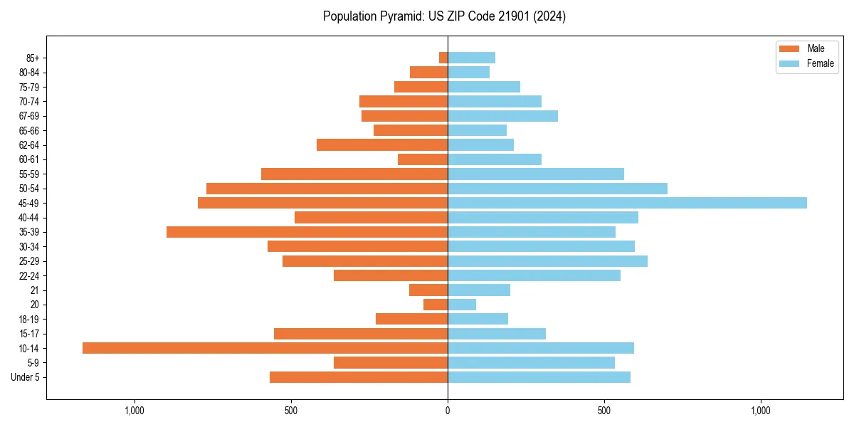 Population pyramid for 
