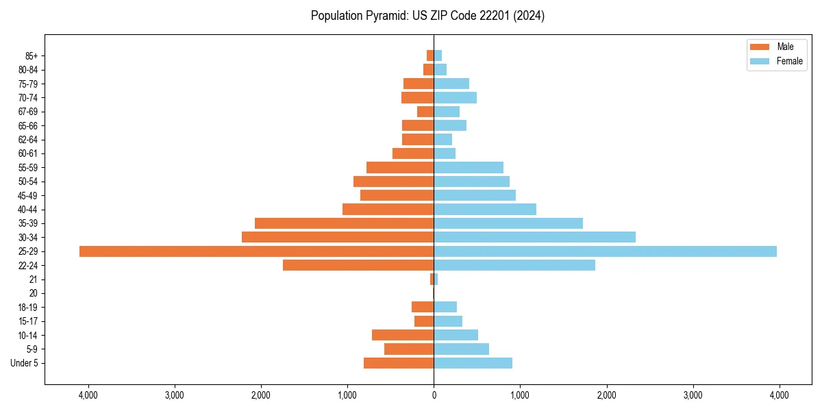Population pyramid for 