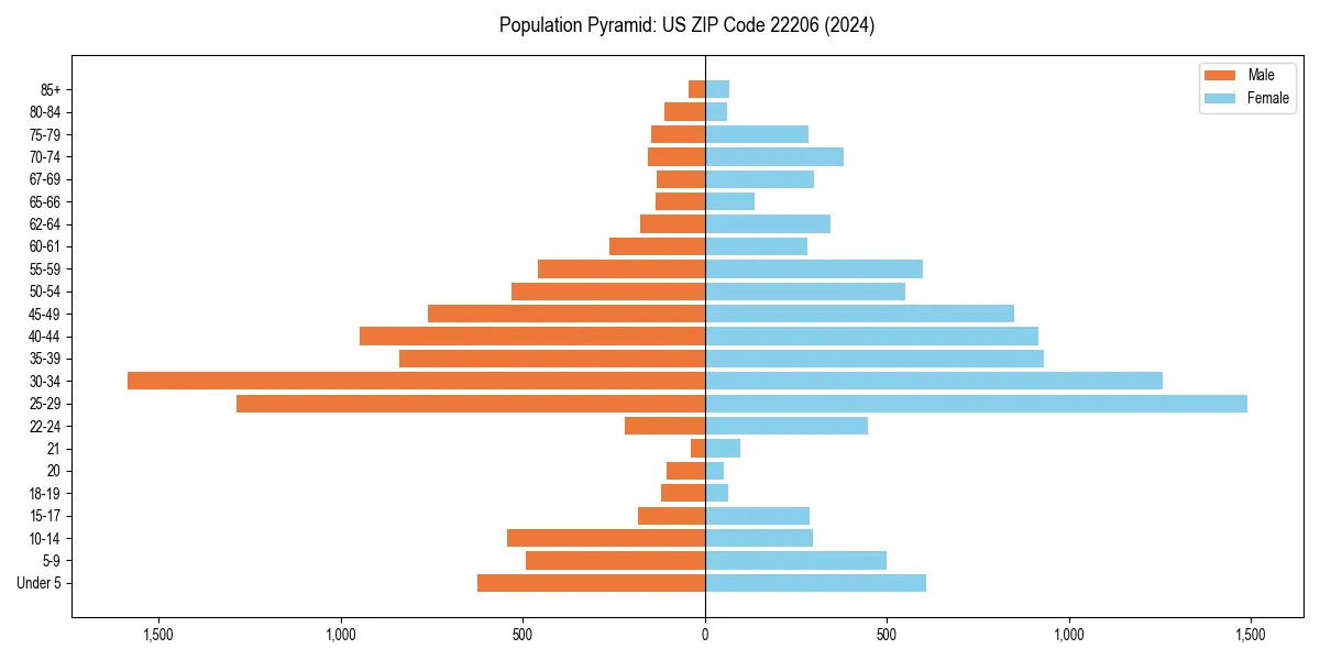 Population pyramid for 