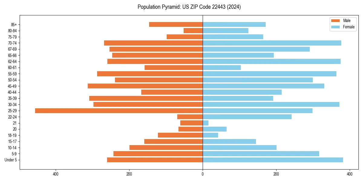 Population pyramid for 