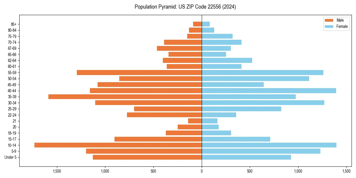 Population pyramid for 