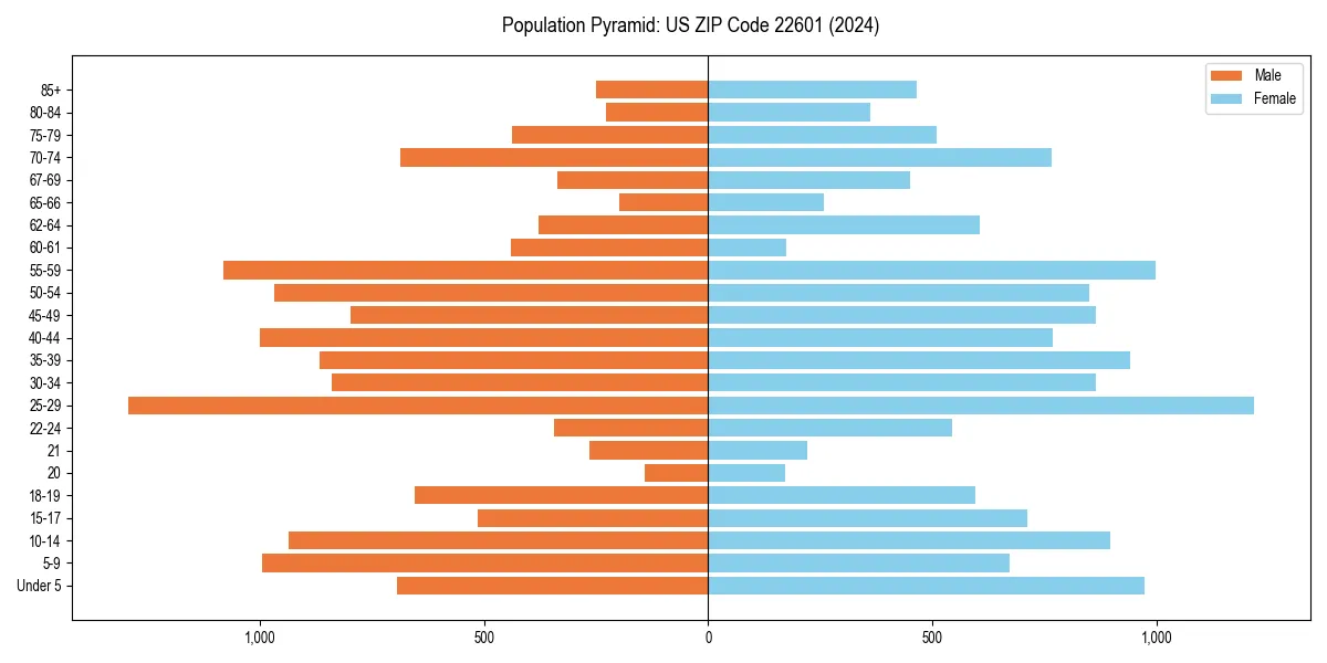 Population pyramid for 