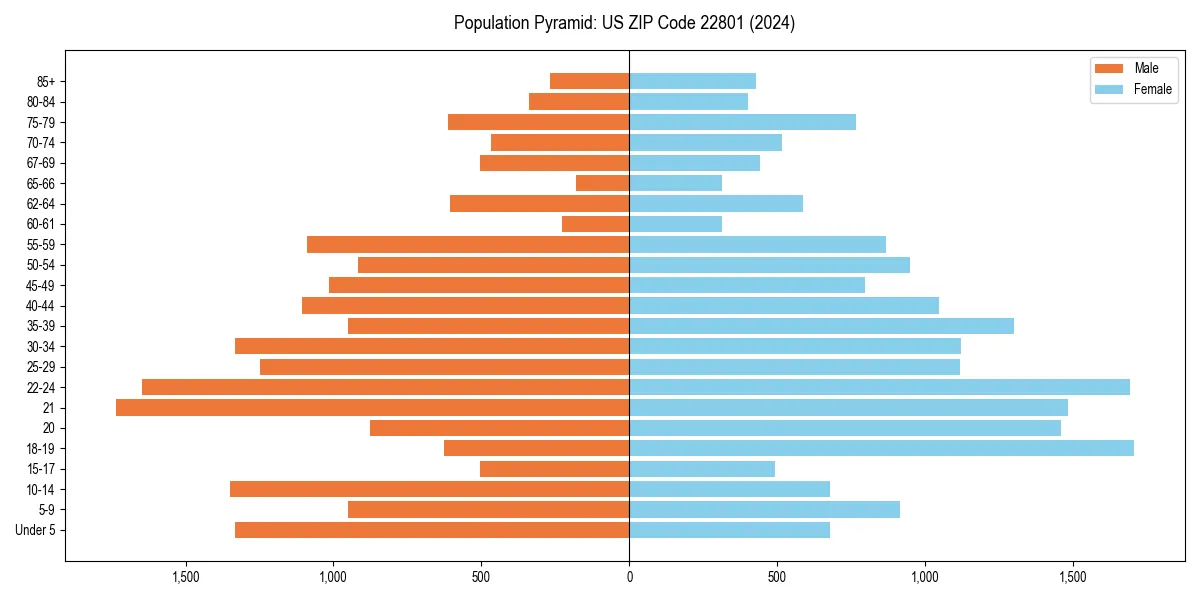 Population pyramid for 