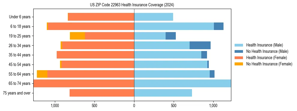 Health insurance pyramid for US ZIP Code 22963