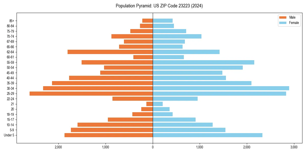 Population pyramid for 