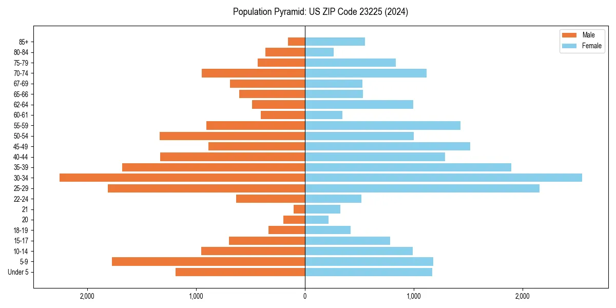 Population pyramid for 
