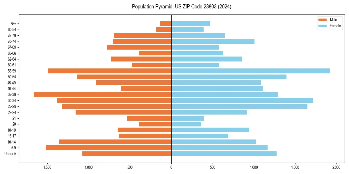 Population pyramid for 