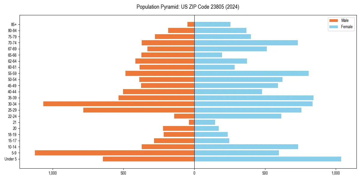 Population pyramid for 